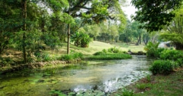 Perdana Botanical Garden