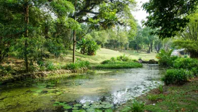 Perdana Botanical Garden