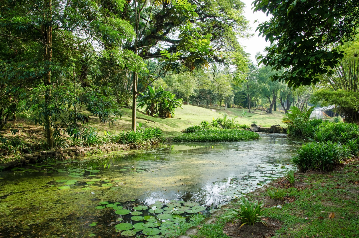 Perdana Botanical Garden