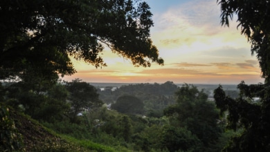 Kuala Selangor Nature Park