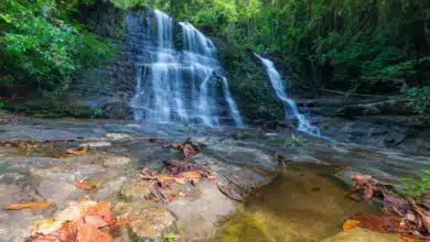 Nationalpark Kubah