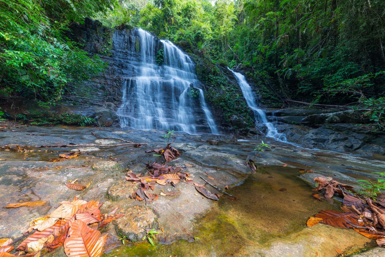 Nationalpark Kubah