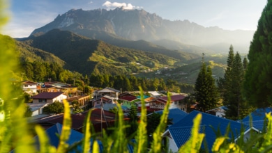 Kinabalu Nationalpark